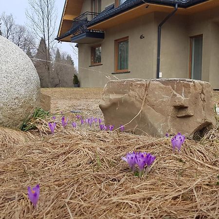 Dom Na Skraju Lasu Jurgów Exterior foto
